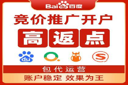 SEM外包助力品牌增长案例解析